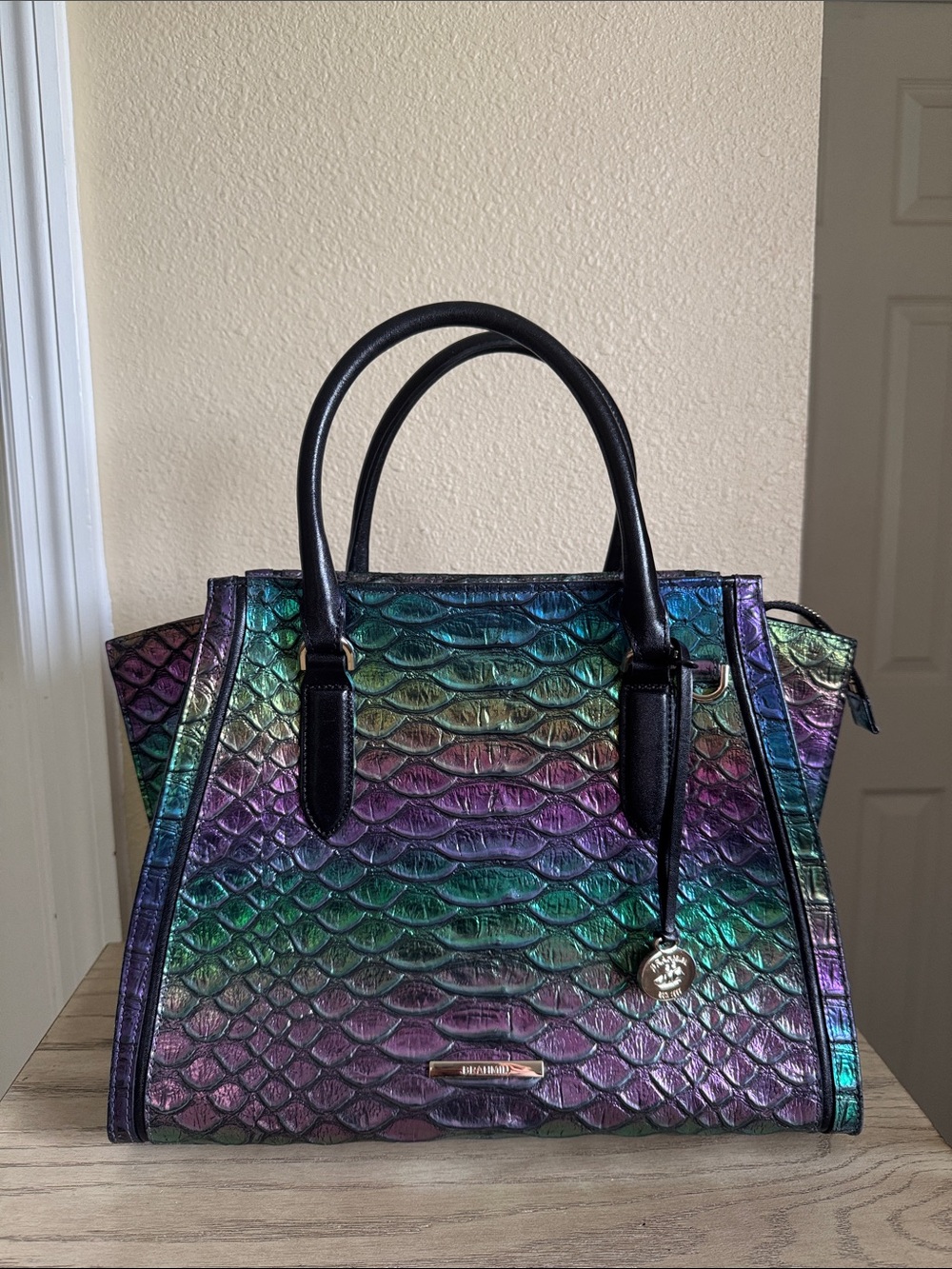 Brahmin Priscilla satchel multi manifesto, New with out tags. Worn once!